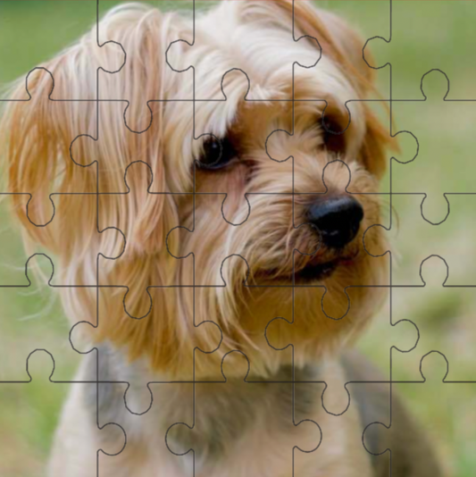 Create Your Own 25 piece Hardboard Jigsaw Puzzle