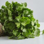 Koriandri: The Herb That Transforms Your Culinary Creations